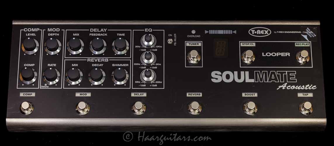 T-rex, Soulmate accoustic